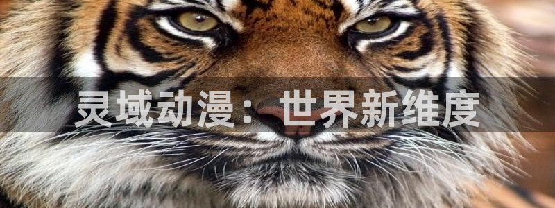 火狼动漫网动漫免费播放