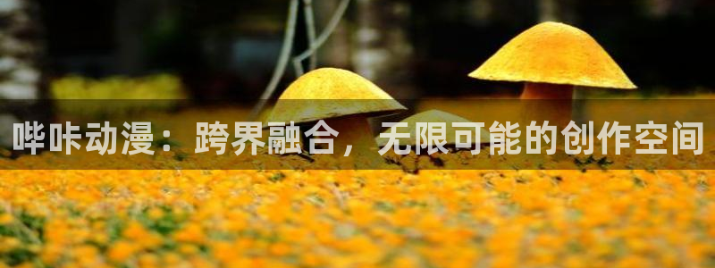 火狼动漫网观看在线