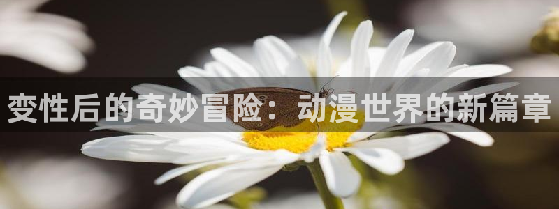 火狼动漫免费观看