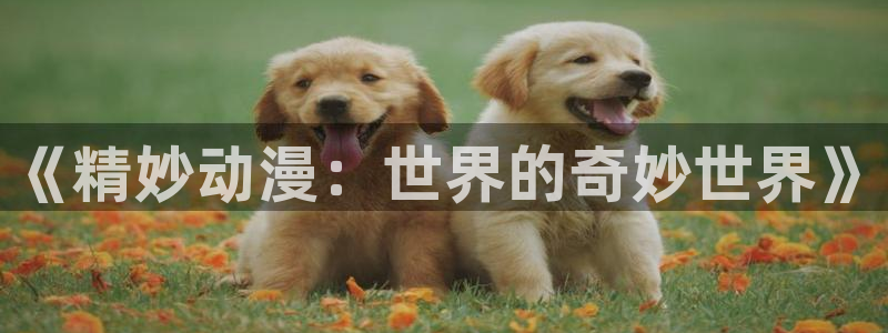 火狼动漫在线看动漫