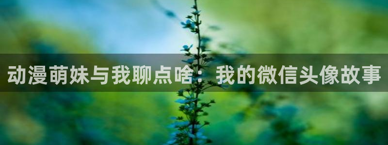 日本动漫火狼动漫网：动漫萌妹与我聊点啥：我的微信头像故事